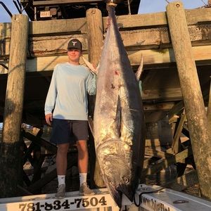 Meet your Posher, Kyle